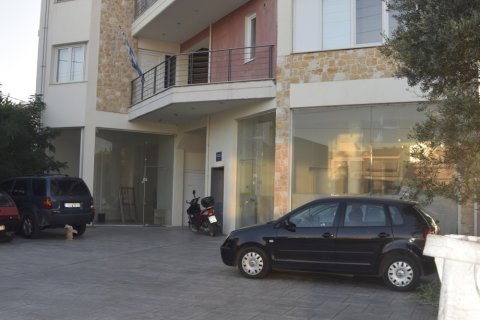 1406m² Apartment in Euboea, Greece No. 55684 14