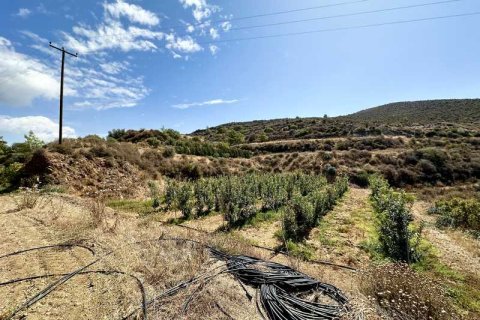 51396m² Land in Kellaki, Cyprus No. 64686 11