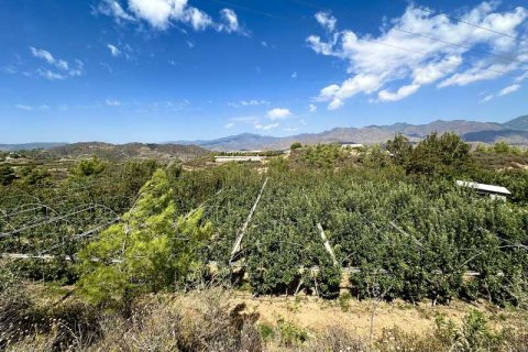 51396m² Land in Kellaki, Cyprus No. 64686 14