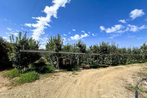 51396m² Land in Kellaki, Cyprus No. 64686 3