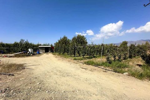 51396m² Land in Kellaki, Cyprus No. 64686 4