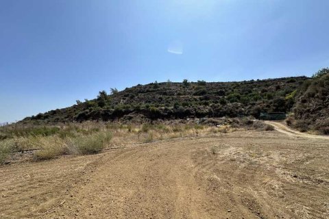 51396m² Land in Kellaki, Cyprus No. 64686 7