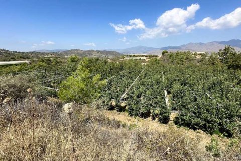 51396m² Land in Kellaki, Cyprus No. 64686 5