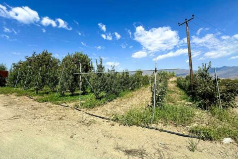 51396m² Land in Kellaki, Cyprus No. 64686 13