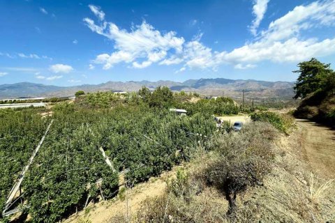 51396m² Land in Kellaki, Cyprus No. 64686 15