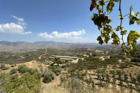 51396m² Land in Kellaki, Cyprus No. 64686 2