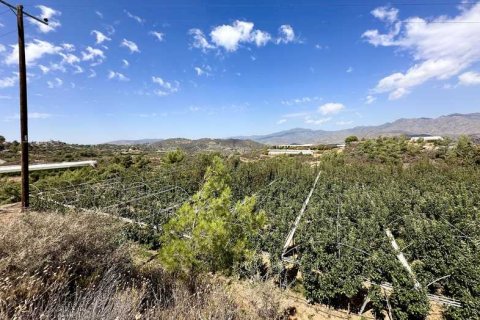 51396m² Land in Kellaki, Cyprus No. 64686 16