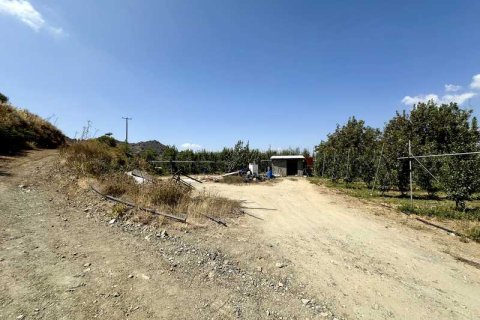 51396m² Land in Kellaki, Cyprus No. 64686 10