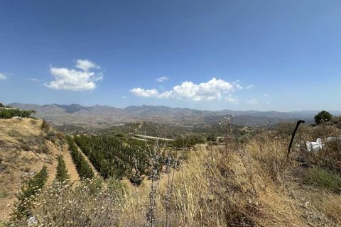 51396m² Land in Kellaki, Cyprus No. 64686 8