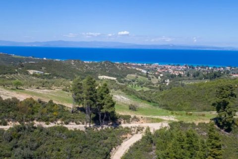 4 bedrooms Villa in Chalkidiki, Greece No. 48755 13