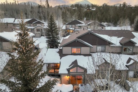 3 chambres Townhouse à Silverthorne, USA No. 76382 1