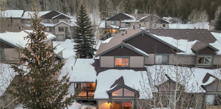 3 chambres Townhouse à Silverthorne, USA No. 76382