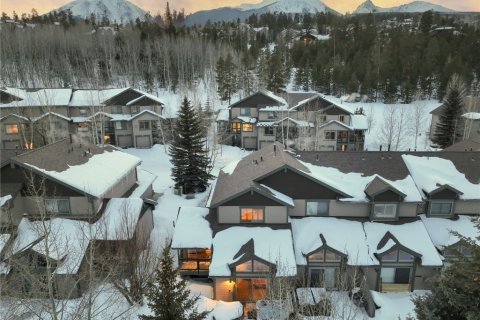 3 chambres Townhouse à Silverthorne, USA No. 76382 27