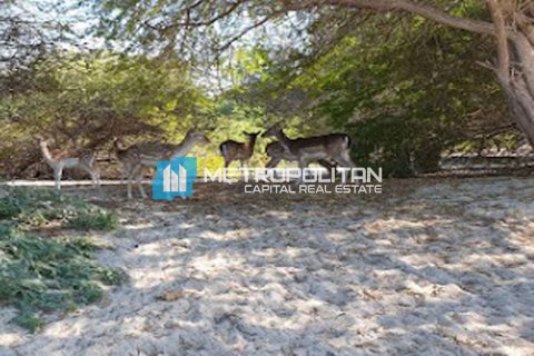Земельный участок 756.2м² в Ghantoot, ОАЭ №92684 9