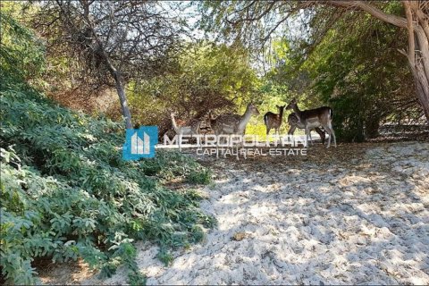 Земельный участок 756.2м² в Ghantoot, ОАЭ №92684 6