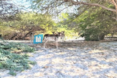Земельный участок 756.2м² в Ghantoot, ОАЭ №92684 4