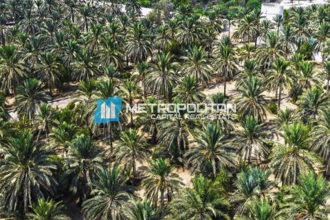 Земельный участок 756.2м² в Ghantoot, ОАЭ №92684 10