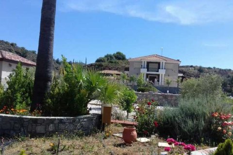 6 bedrooms Villa in Kalo Chorio, Cyprus No. 63594 4