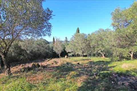 4262m² Land en Corfu, Greece No. 58876 3