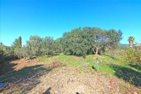 4262m² Land en Corfu, Greece No. 58876 5