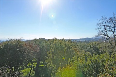 4262m² Land en Corfu, Greece No. 58876 2