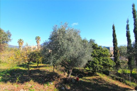 4262m² Land à Corfu, Greece No. 58876 6