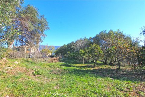 4262m² Land en Corfu, Greece No. 58876 4