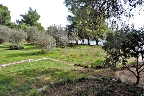 3 rooms Land à Euboea, Greece No. 59747 15