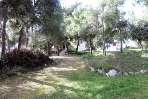 3 rooms Land à Euboea, Greece No. 59747 4