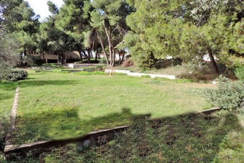 3 rooms Land in Euboea, Greece No. 59747 12