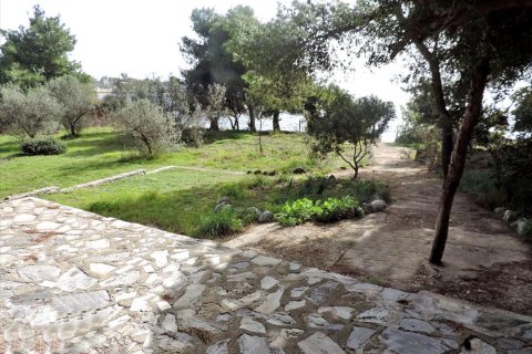 3 rooms Land in Euboea, Greece No. 59747 8