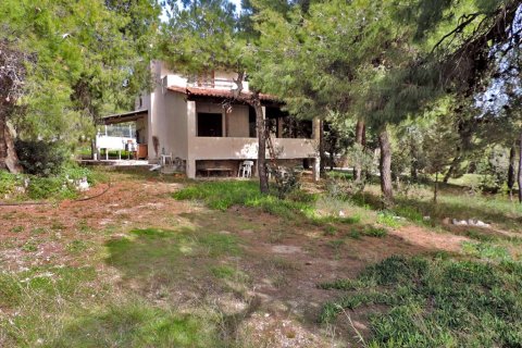 3 rooms Land in Euboea, Greece No. 59747 5