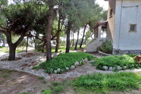 3 rooms Land in Euboea, Greece No. 59747 7