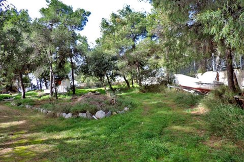 3 rooms Land à Euboea, Greece No. 59747 16