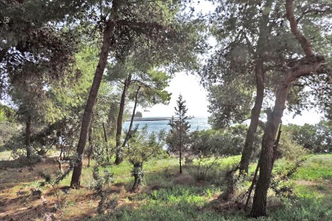 3 rooms Land in Euboea, Greece No. 59747 3