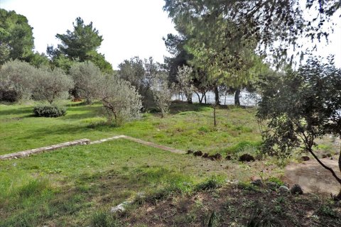 3 rooms Land à Euboea, Greece No. 59747 10