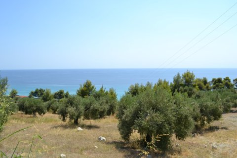 12300m² Land à Chalkidiki, Greece No. 58530 4