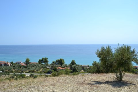 12300m² Land à Chalkidiki, Greece No. 58530 1