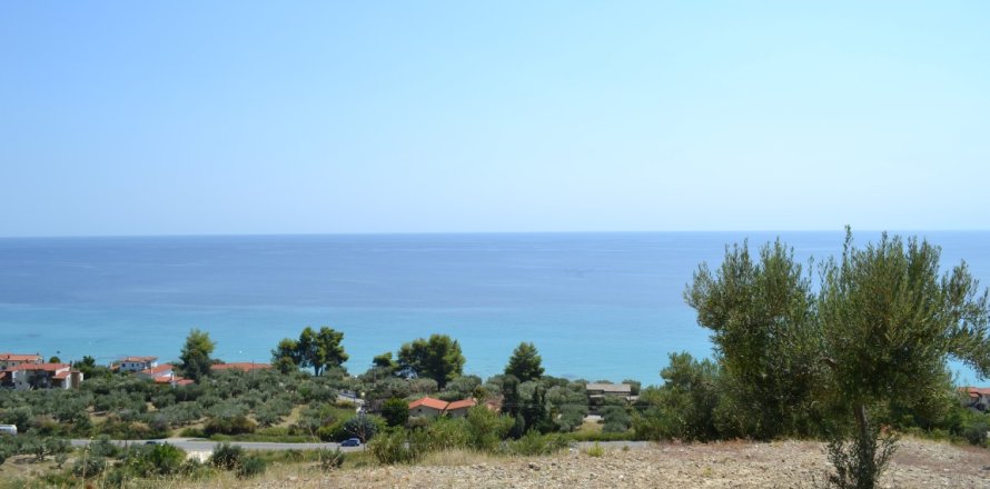 12300m² Land à Chalkidiki, Greece No. 58530