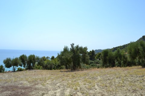 12300m² Land en Chalkidiki, Greece No. 58530 6