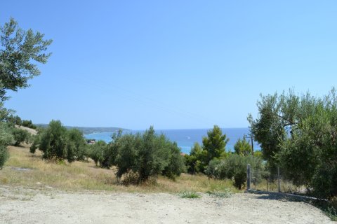 12300m² Land à Chalkidiki, Greece No. 58530 2