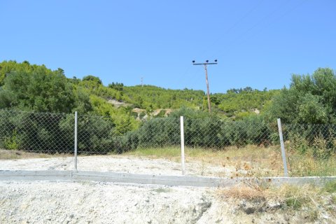 12300m² Land in Chalkidiki, Greece No. 58530 8