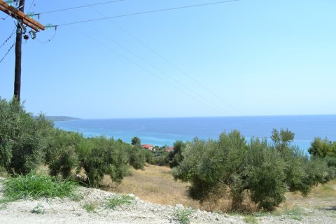 12300m² Land en Chalkidiki, Greece No. 58530 3