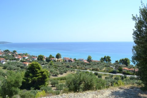 12300m² Land à Chalkidiki, Greece No. 58530 5