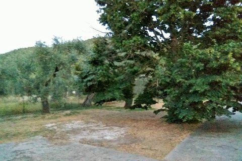 300m² Negocio en Thasos, Greece No. 58532 6