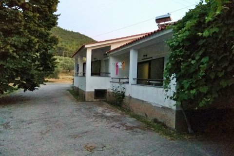 300m² Business in Thasos, Greece No. 58532 1