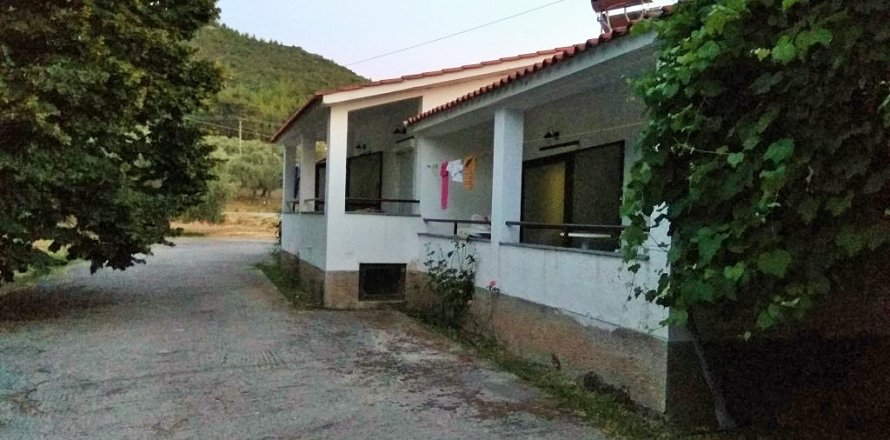 300m² Business in Thasos, Greece No. 58532