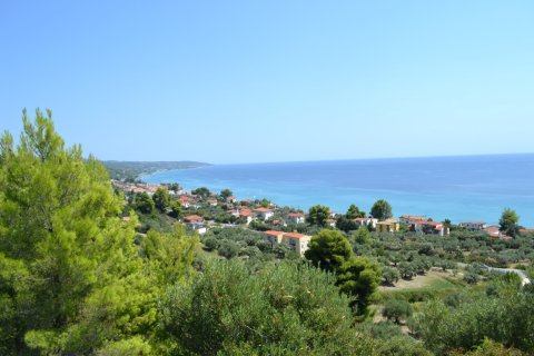 31000m² Land en Chalkidiki, Greece No. 58529 1