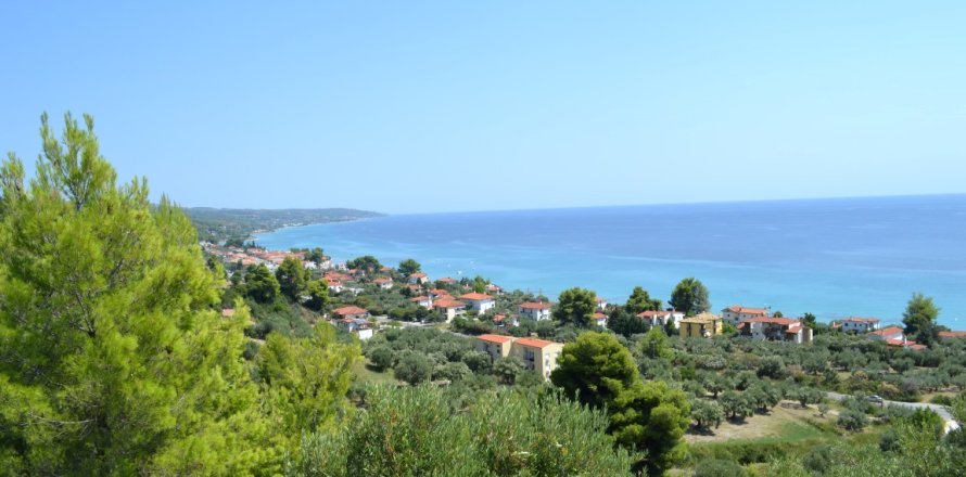 31000m² Land en Chalkidiki, Greece No. 58529