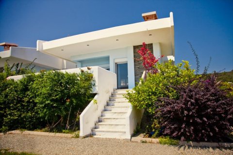 4 bedrooms Villa in Chalkidiki, Greece No. 48846 12